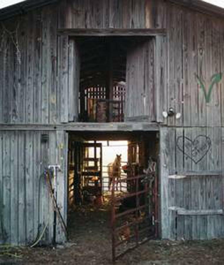 Kokomo Farms Live Oak Exterior photo