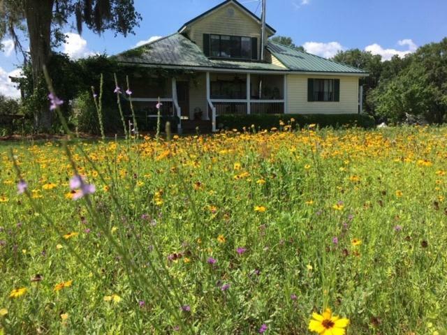 Kokomo Farms Live Oak Exterior photo